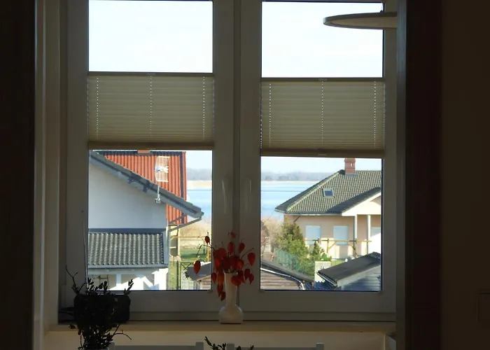 Gena * מידז'יוודז'י