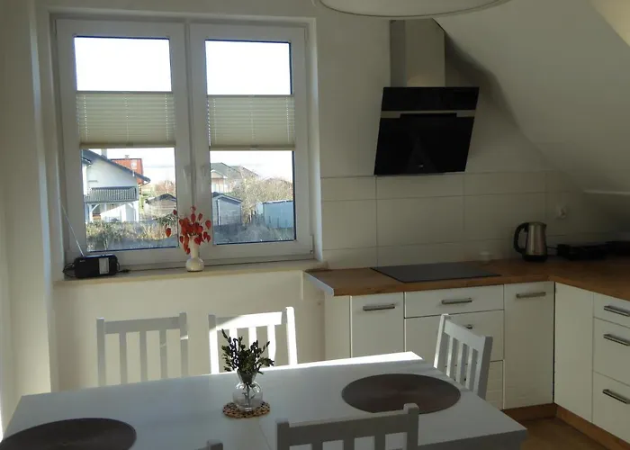 Gena מידז'יוודז'י